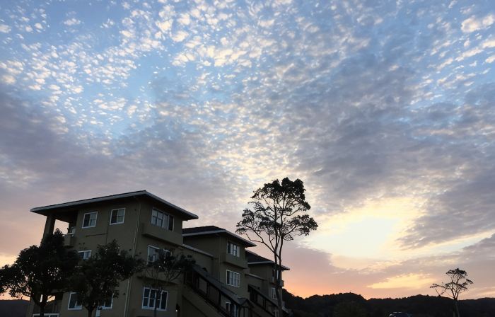 Hotel Blueberry Hill Katsuura
