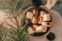 Lapland Nature & Health - 青年旅舍
