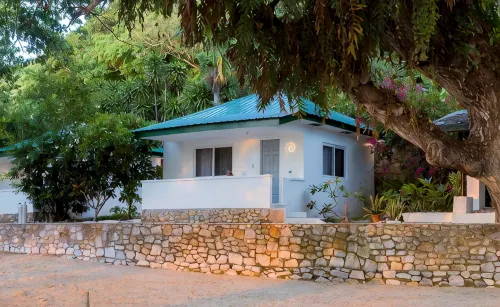 The Three P Beach Resort & Dive Center