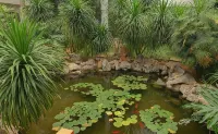 Rushan International Hotel