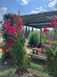 B&B Il Pettirosso di Siena