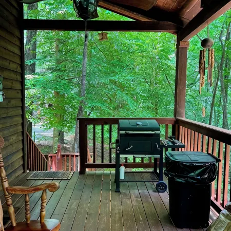Cozy 2-bedroom cabin in awesome Blairsville with ac and wifi.