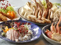 Ekubo Hotels in 