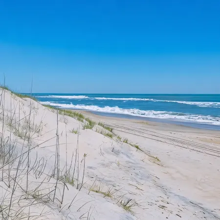 On the Beach: Beach View in Every Room, 3 Mbrs, Hot Tub, Checkin Any Day + Dogs