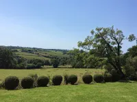 Grade 1 listed Medieval Hall House near the Devon and Cornwall border - Wifi
