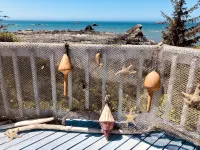 Oceanfront Bluff Home - Whale Watching, Redwoods, Wood Stove & Pet Friendly - 4-Star