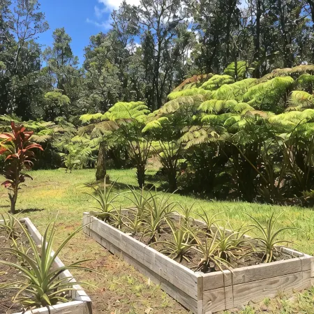 Tranquil private home 5 minutes to Hawai'i Volcanoes National Park