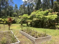 Tranquil private home 5 minutes to Hawai'i Volcanoes National Park
