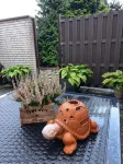 Ferienwohnung an der Weser - Homestays