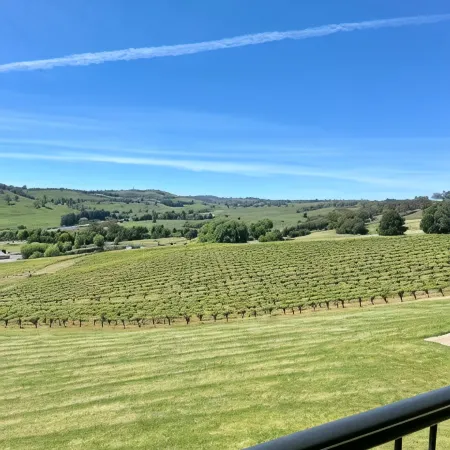 Turners Vineyard Motel