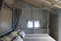 Cocosea