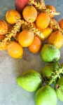 Free House Bentota