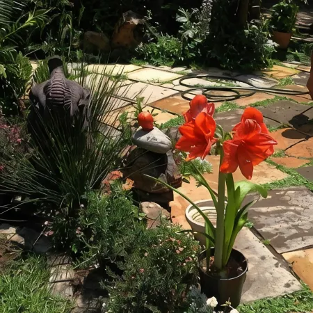 Breena BnB Guest House