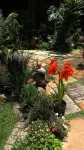 Breena BnB Guest House - 3-Star