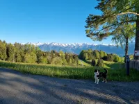 Haus Rheintalblick mit Fantastischem Rundblick - 2-Star