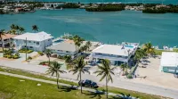 Watch dolphins play in Shelter Cove while swimming in our oversized  pool