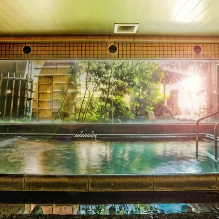 Nara Park Hotel