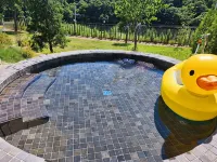 Yeoncheon with Dog Dog Pool Villa - Villa