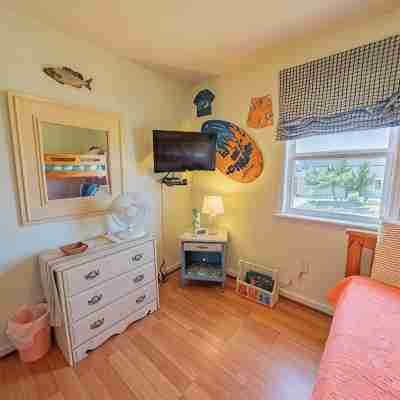 Counting Pelicans + Ocean View + Pelican Hunt in Kill Devil Hills, NC Rooms