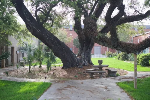 Cozy Stylish Executive Studio, Great Downtown Pascagoula Location