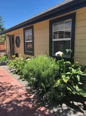 The HumBee Studio - Apartments