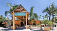 Best Western Seven Seas