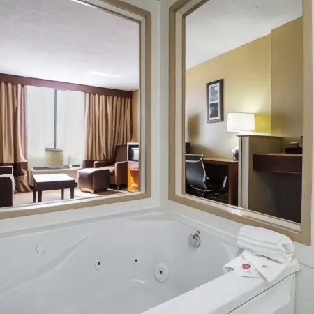 Comfort Inn Downtown