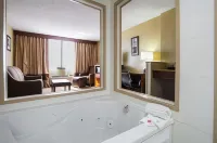 Comfort Inn Downtown - breakfast