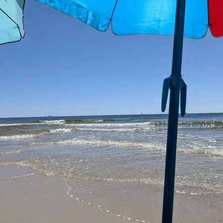 Gorgeous Magnolia Cottage: With Bicycles/Beach Equipment- Pet Friendly! Private!