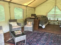 Full Site Woodland Glamping Rental near 3 of NY's Finger Lakes for 14+