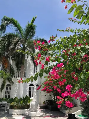 Le Castel Blanc Hotel Boutique - Haustierfreundliche