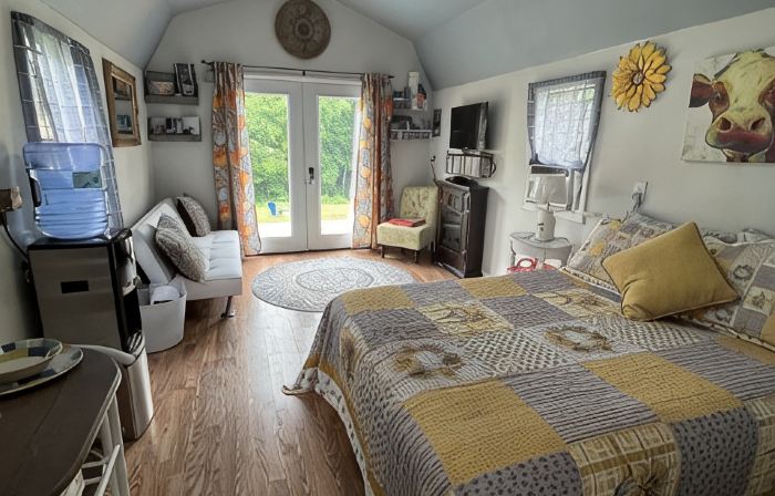 Star glazing Tiny house off grid peaceful Stone Mountain State Park and Fire pit