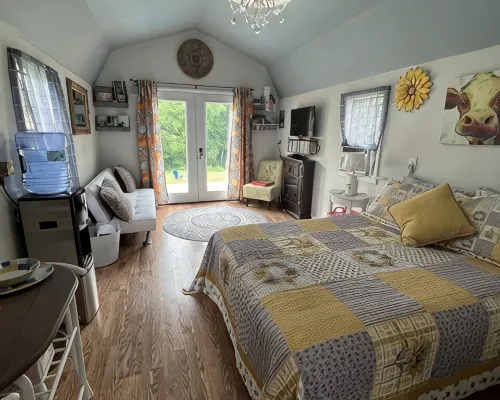 Star glazing Tiny house off grid peaceful Stone Mountain State Park and Fire pit Hotels in Traphill