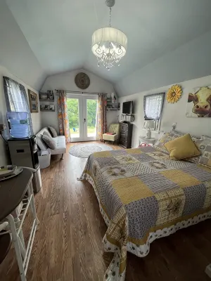 Star glazing Tiny house off grid peaceful Stone Mountain State Park and Fire pit - Homestays
