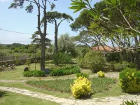 Solar Do Magoito - Vila