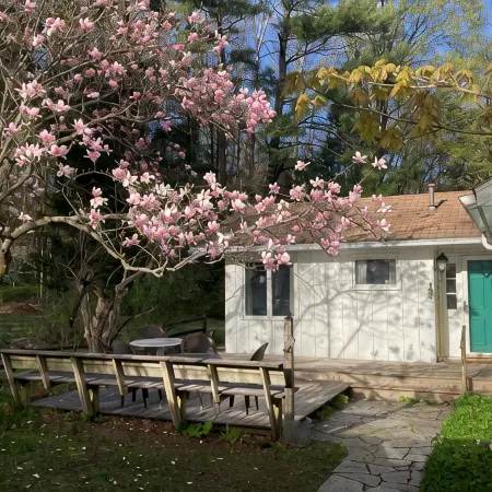 Country Home, outdoor spaces, secluded but close to everything