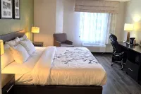 AUSTINBURG HOTEL by IHG - Pet friendly