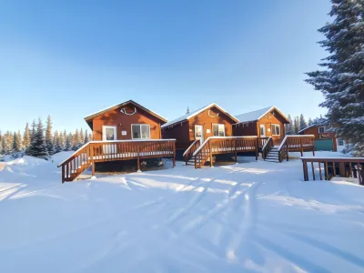 Denali's Alaskan Spruce Cabins Hotels in Healy