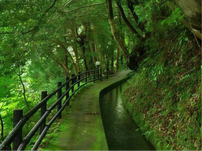 ホテル周辺 白壁荘の写真