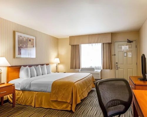 Quality Inn Petaluma - Sonoma Hotels in Petaluma