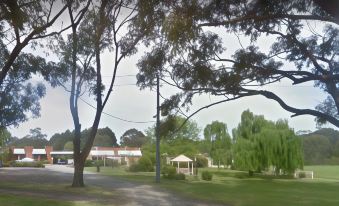 a park with a large tree in the center , surrounded by green grass and a gazebo at Toora Lodge Motel