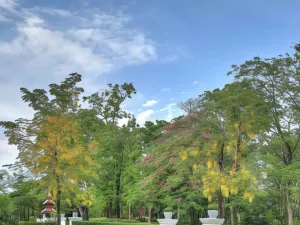 몬파나논 웰니스 리조트 & 스파