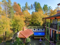 Seventeen Rooms Hotels in Telavi