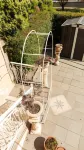 La Dimora di Annarè Hotel a Santa Eufemia Lamezia
