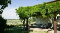 Agriturismo Fattoria Lavacchio Hotels in Pontassieve
