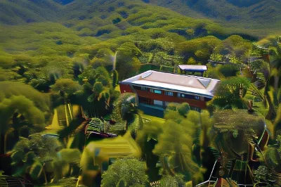 Daintree Manor B&B Hotels in Daintree
