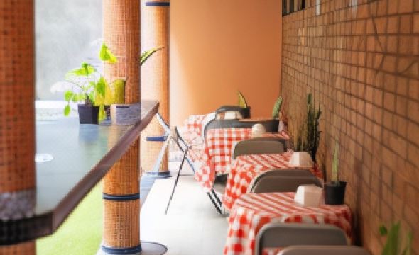 그레이스 차피네로