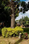Hotel Hospedaje Caney "Descanso & Tradición" Ayenda 1422