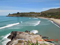 Delfino