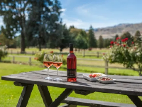 Lake Dunstan Motel Hotels in Cromwell